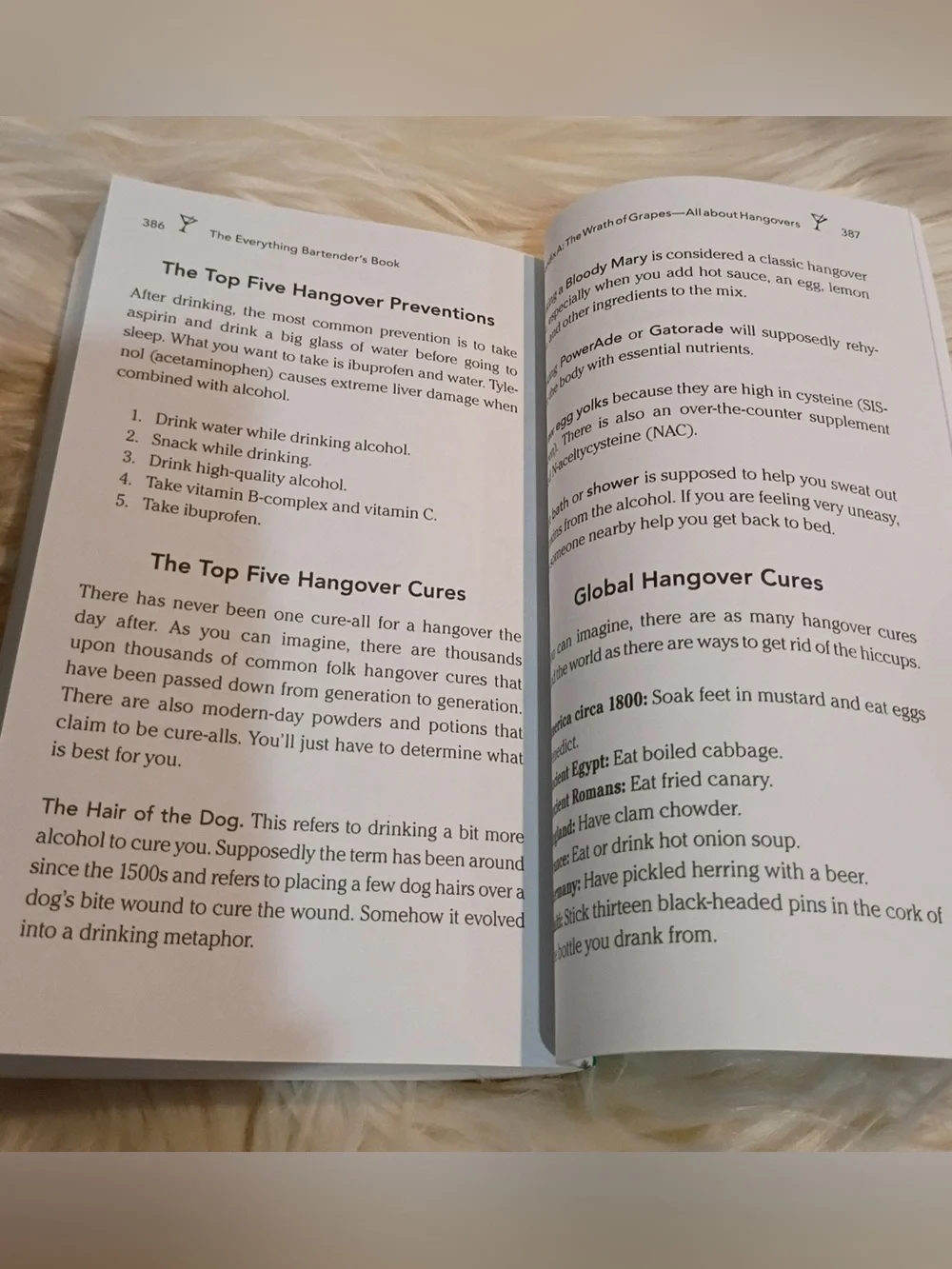 The Everything Bartenders Book